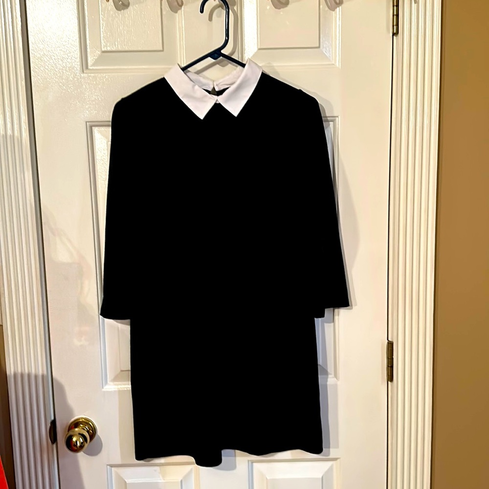 Zara Trafaluc Spring/Summer Mod Black Dress w/whit collar